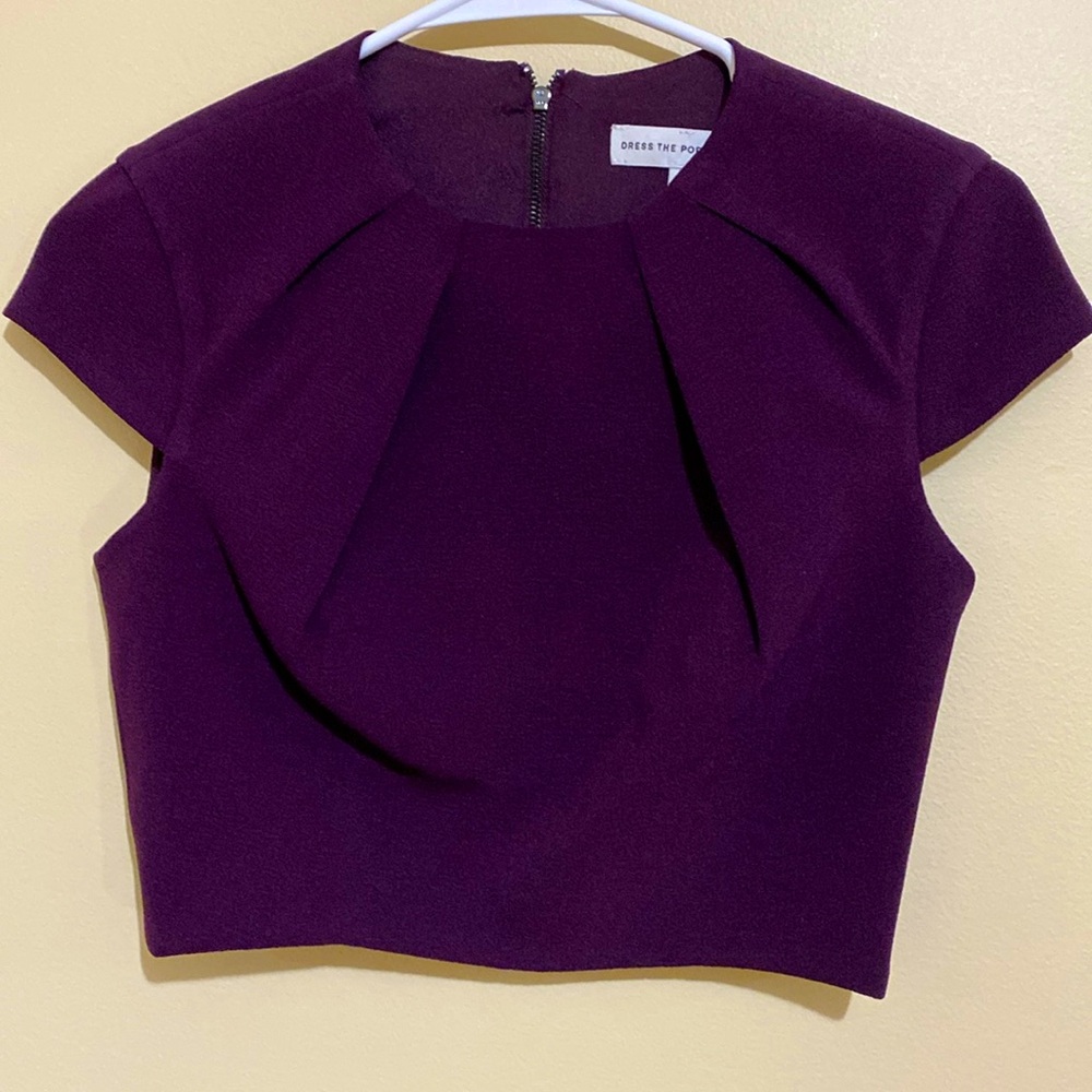 NWOT Burgundy Dress The Population Crop Top XS